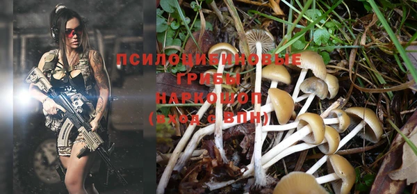 марихуана Покачи