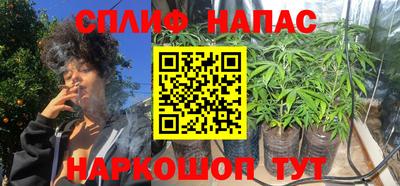 спайс Берёзовский