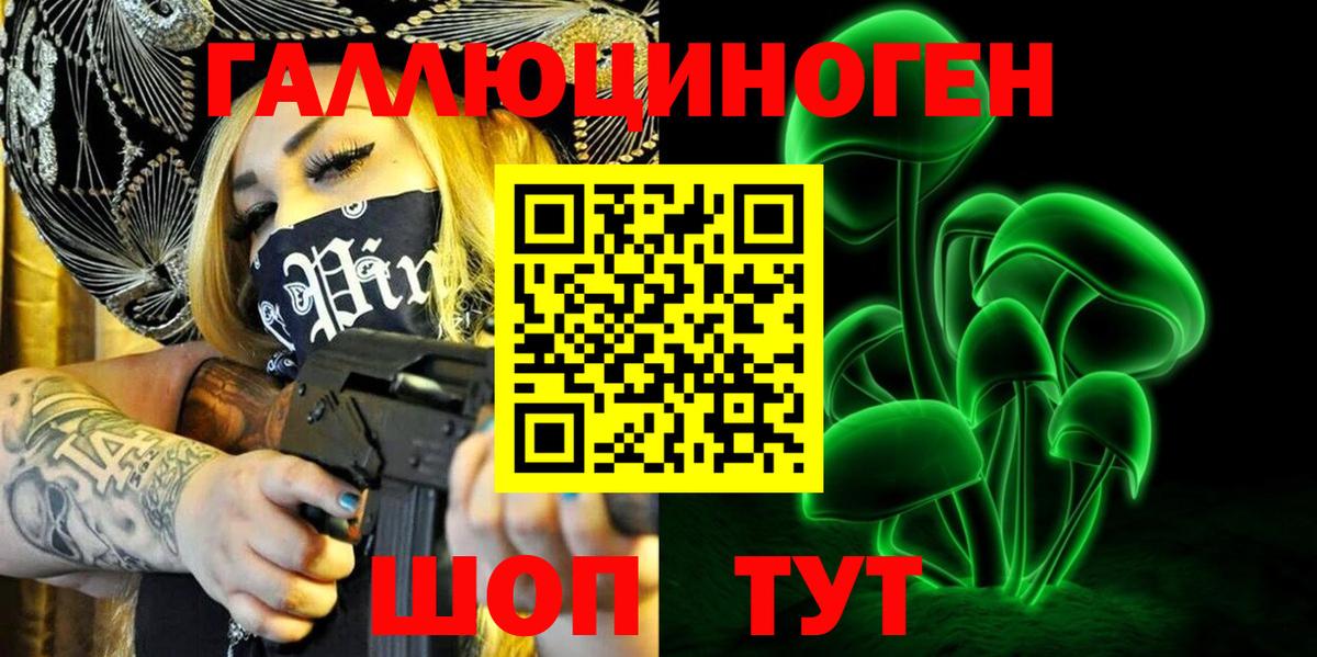 Псилоцибиновые грибы Psilocybe Дербент