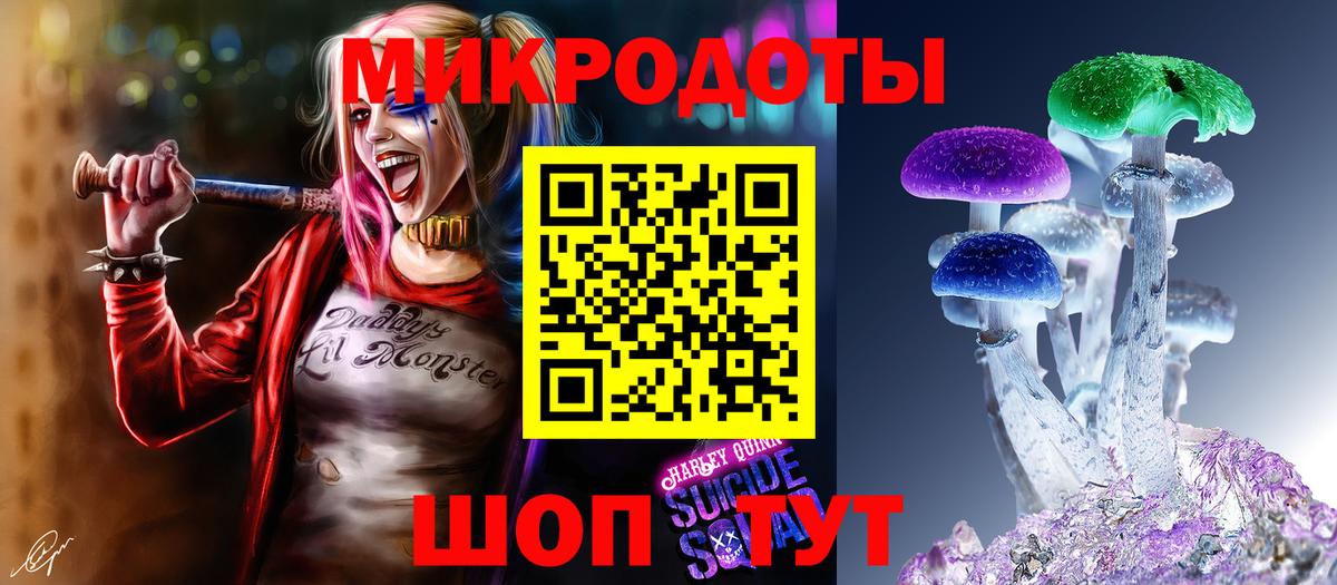 Дербент  Псилоцибиновые грибы Psilocybe  Галлюциногенные грибы Psilocybe  Вход с VPN 