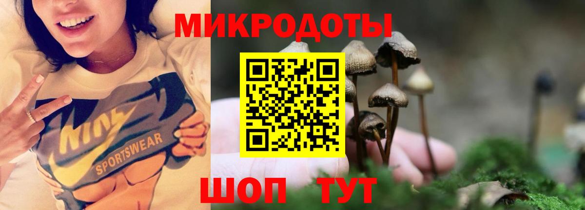 Псилоцибиновые грибы мухоморы Дербент